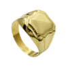 Sygnet SM 19